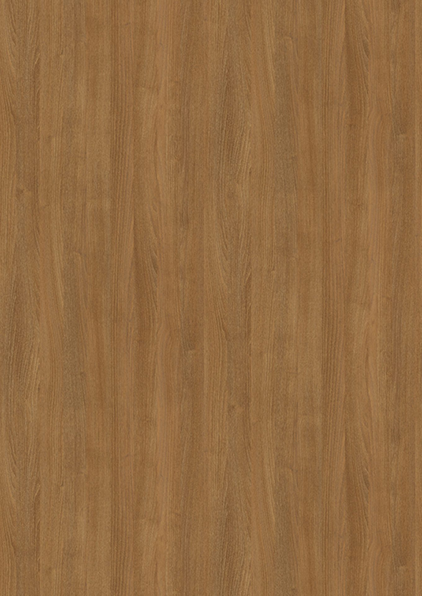 Branson Robinia maro natur