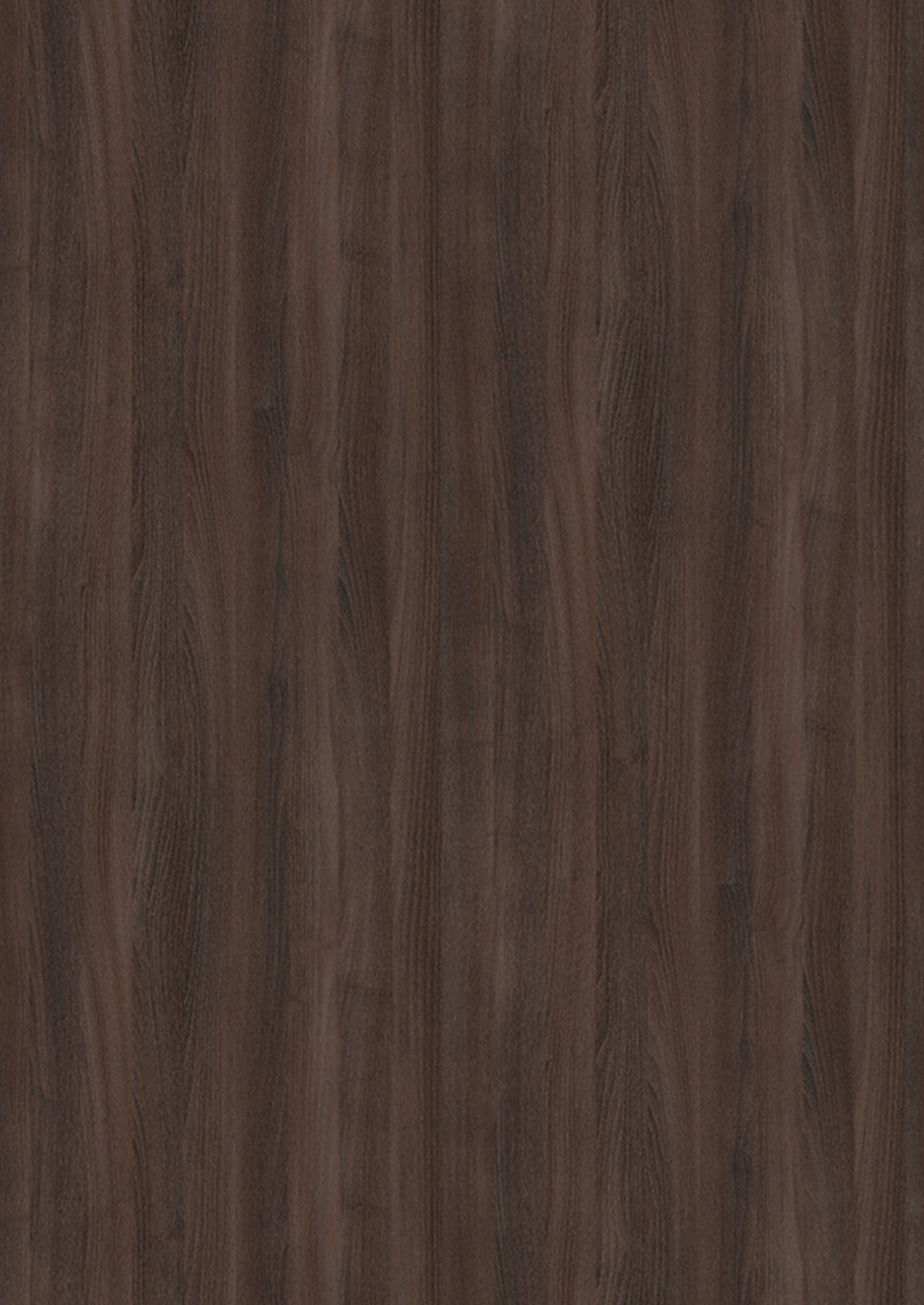 Branson Robinia maro trufa