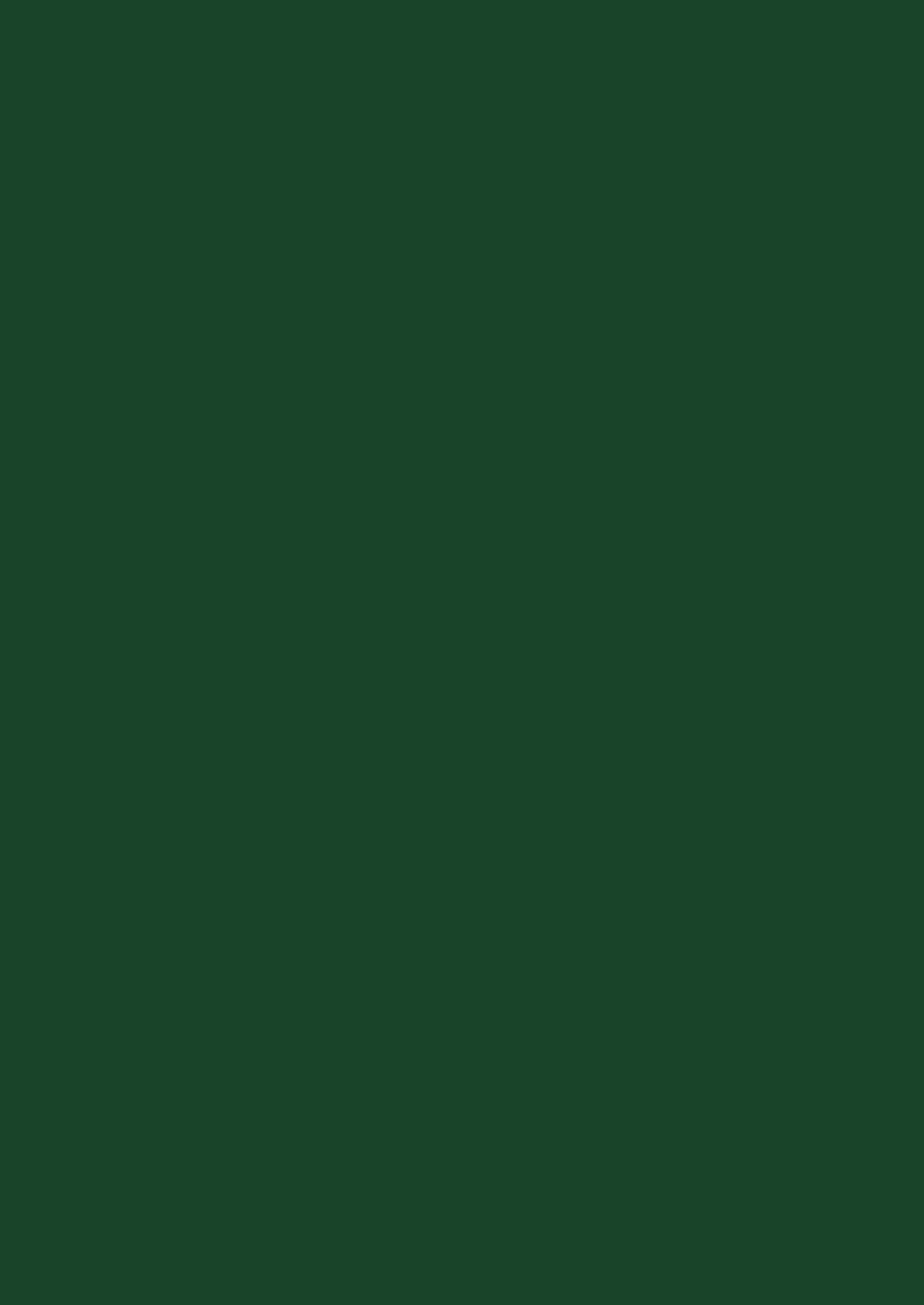 Verde Bottle