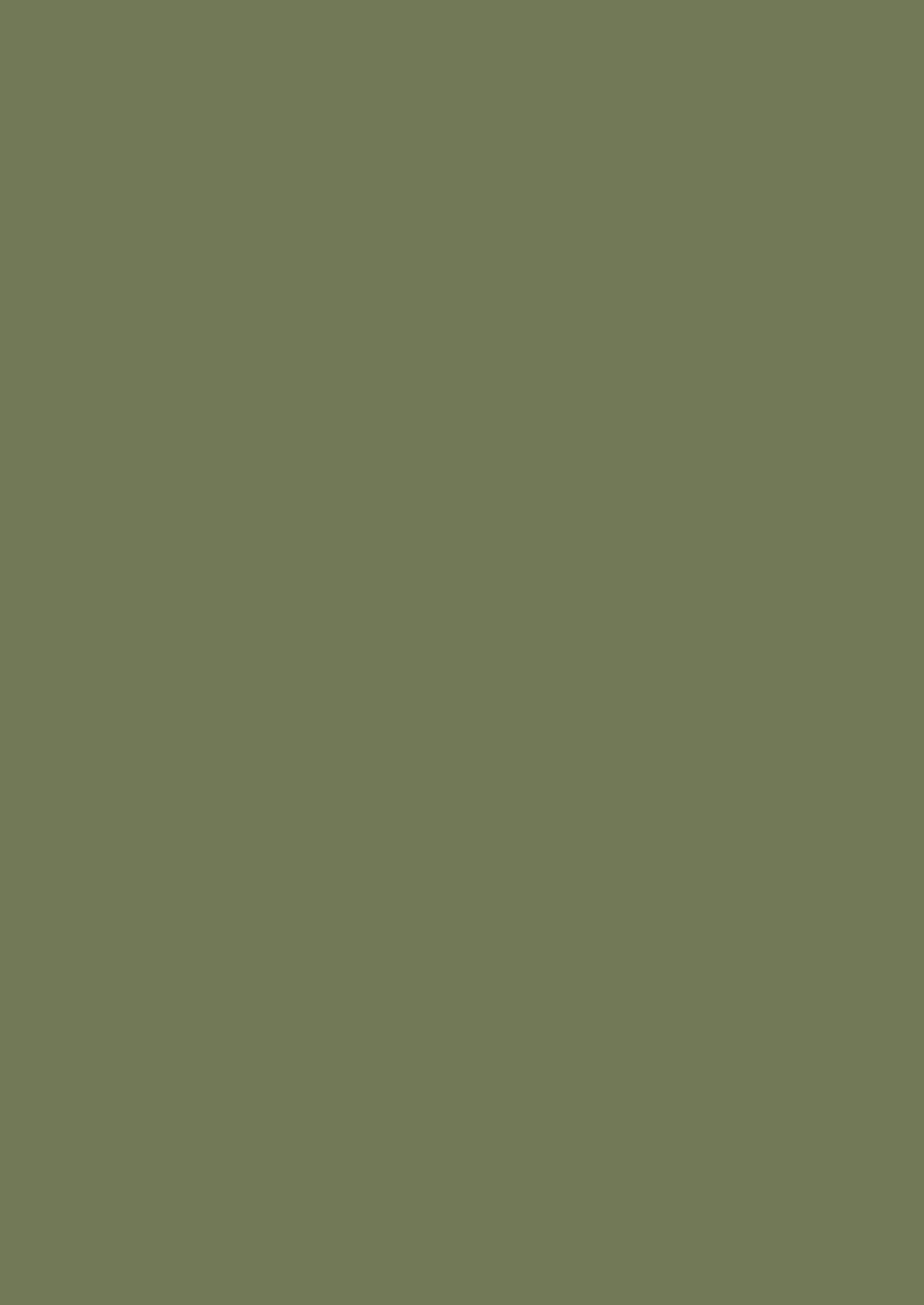 Verde Olive