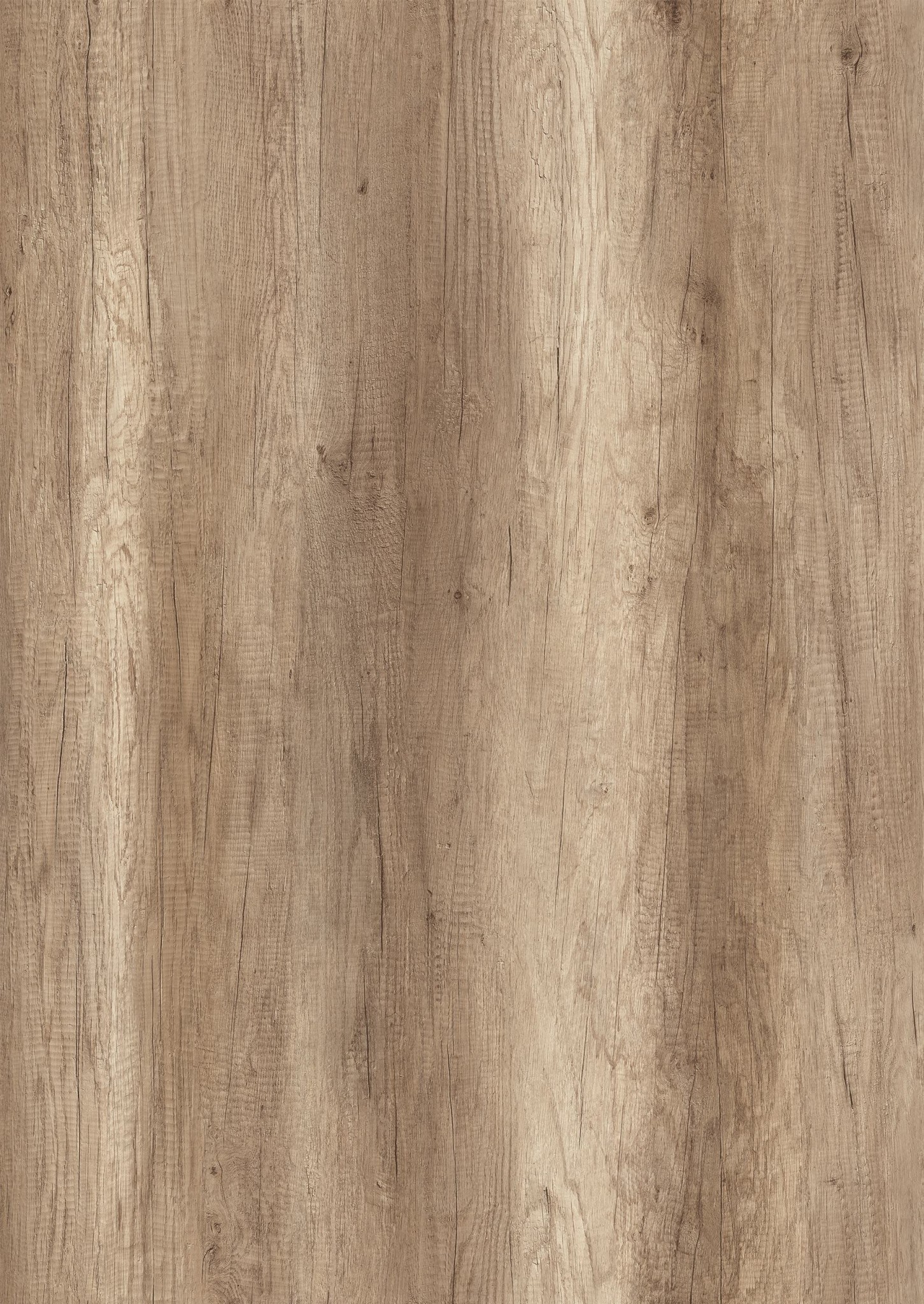 Stejar Auckland Striat K