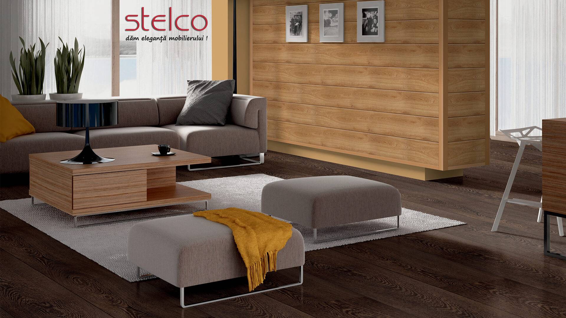 Mobilier Stelco – living modern