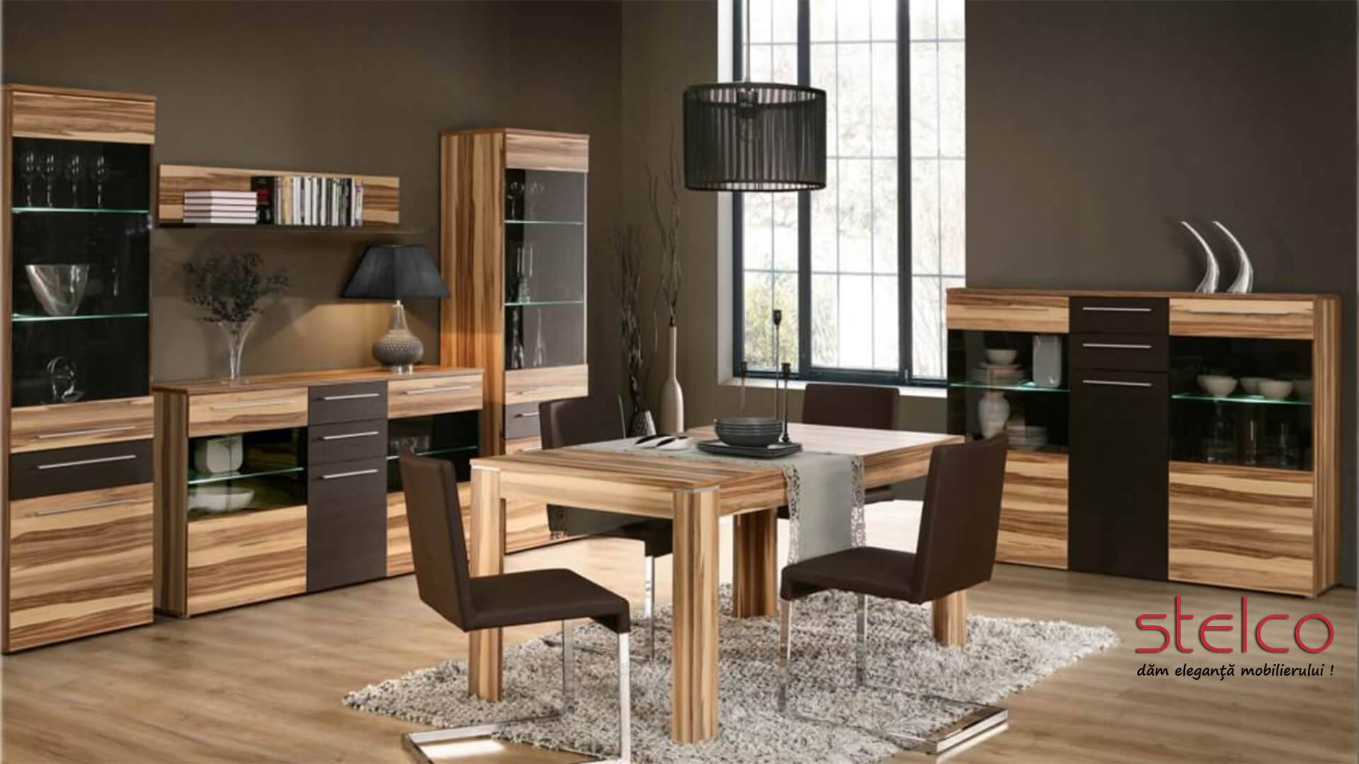 Mobilier Stelco – living modern
